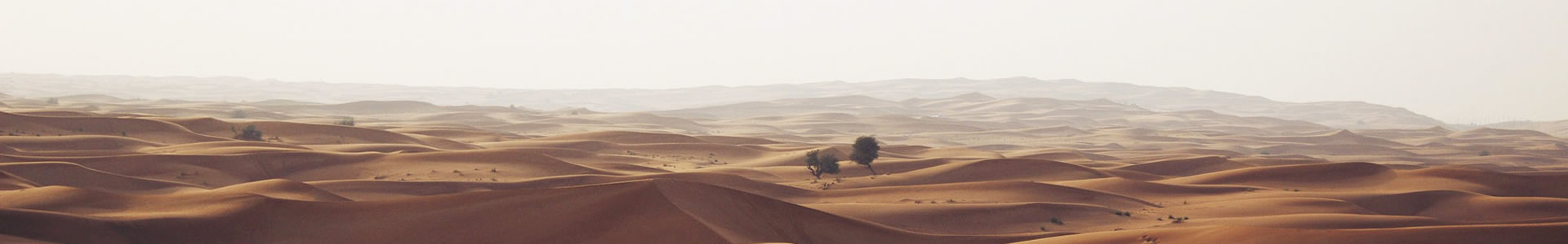 лۺʶ޹˾